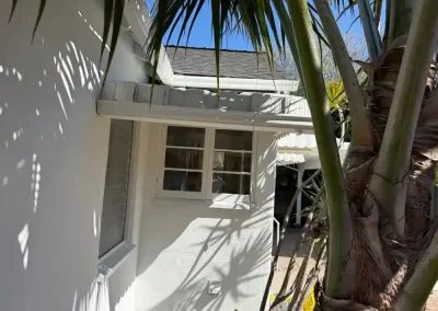 Affordable Wall Painting Services