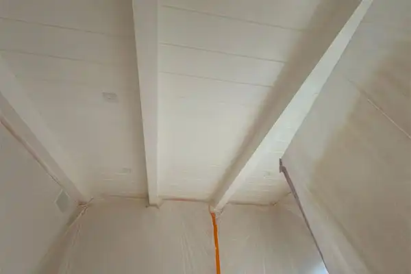 Ceiling Painting