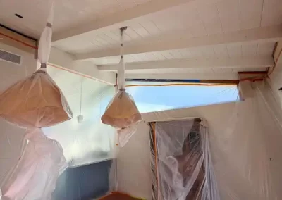 Wall Painting Services1